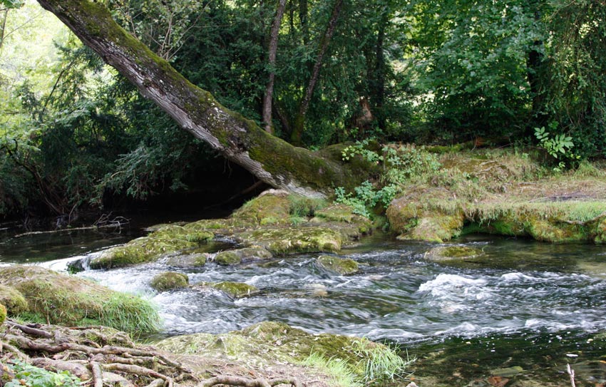 http://www.bluebelton.com/09/divers/ceoum1.jpg