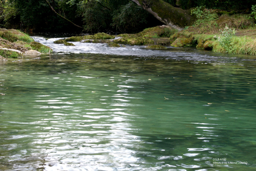 http://www.bluebelton.com/09/divers/ceoup1.jpg