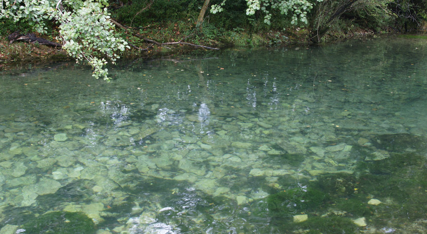 http://www.bluebelton.com/09/divers/ceoup2.jpg