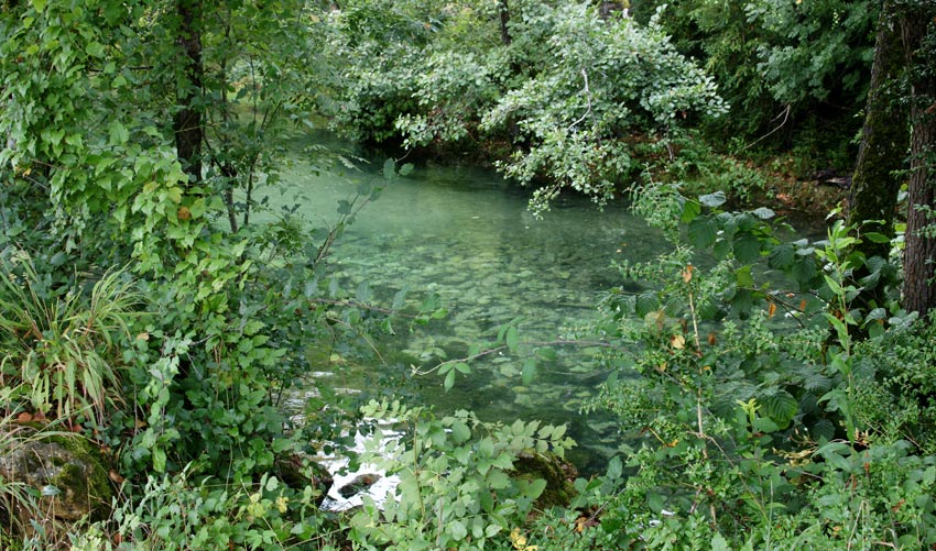 http://www.bluebelton.com/09/divers/ceoup3.jpg