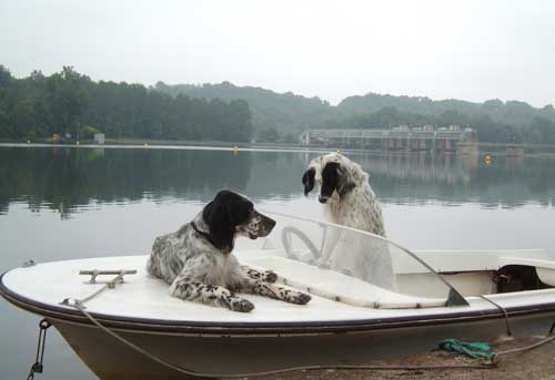 bateau