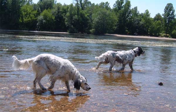 eau