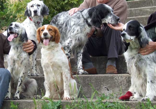 rencontre4-5