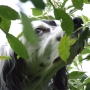 regard10.jpg