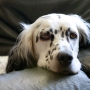 test22.jpg