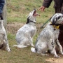 trio9.jpg