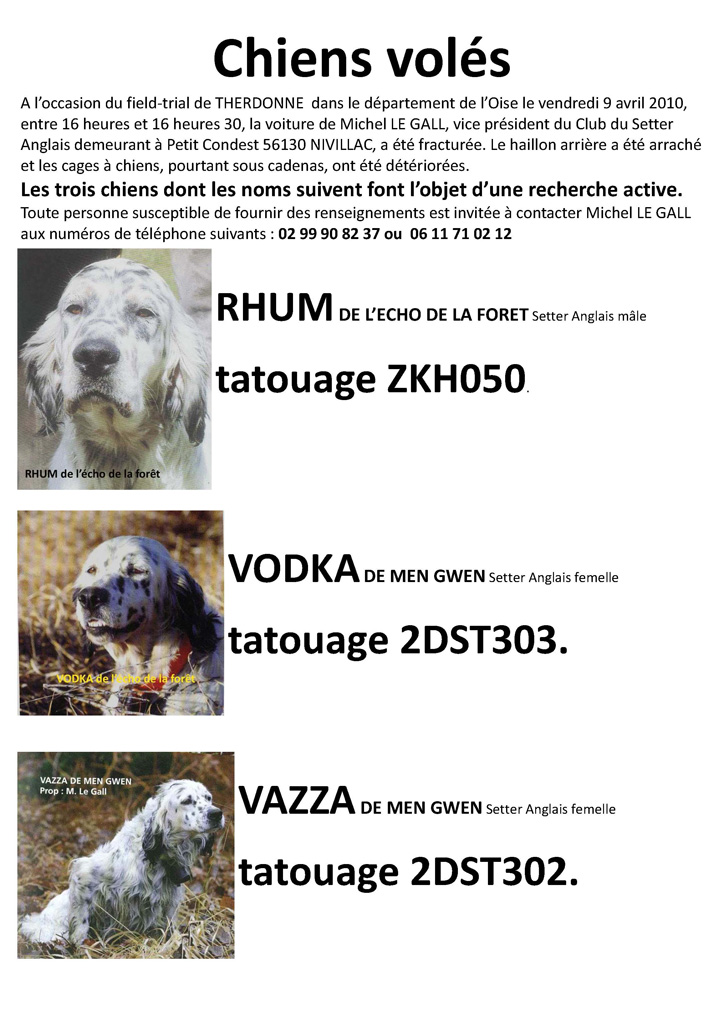ATTENTION URGENT Vol de Chiens !!! Vollegall